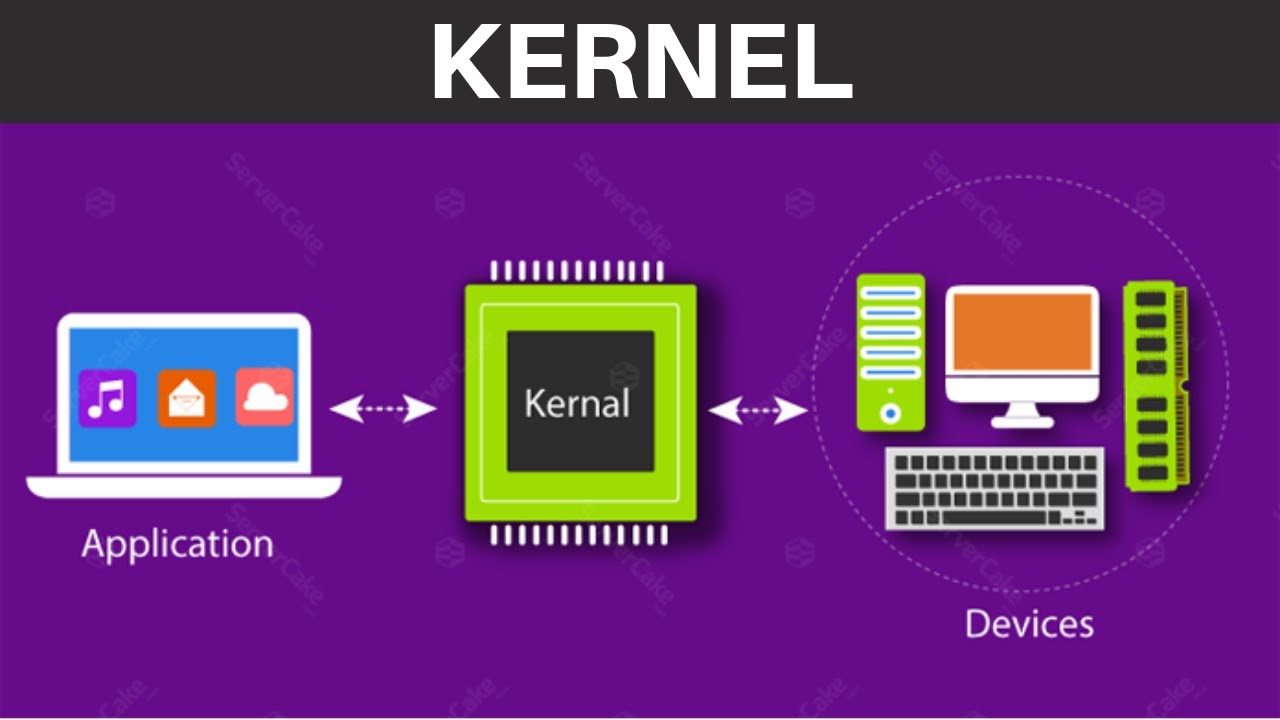 kernel